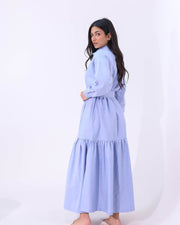 Elegant Chemise Dress